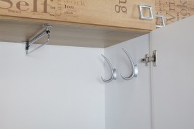 Шкаф для одежды «Оксфорд» (Ривьера/Белый с рисунком) в Норильске - norilsk.katalogmebeli.com | фото 7